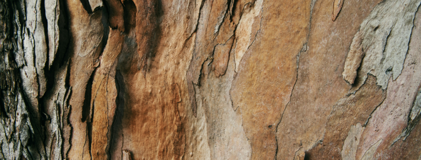 FMF Writing Prompt Link-up :: Scared