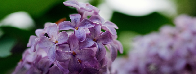 FMF Writing Prompt Link-up :: Might