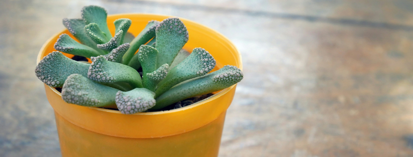 FMF Writing Prompt Link-up :: Prove