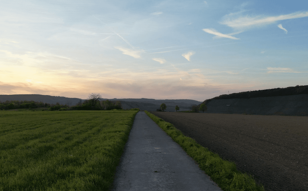 FMF Writing Prompt Link-up :: Anymore