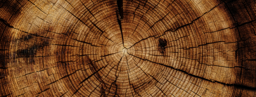 FMF Writing Prompt Link-up :: Circle