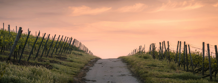 FMF Writing Prompt Link-up :: Path