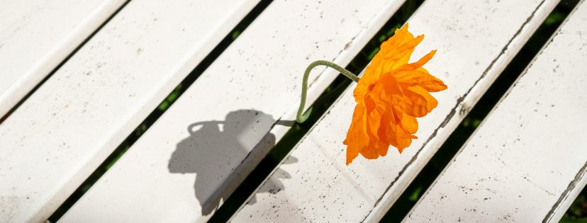 FMF Writing Prompt Link-up :: Unusual