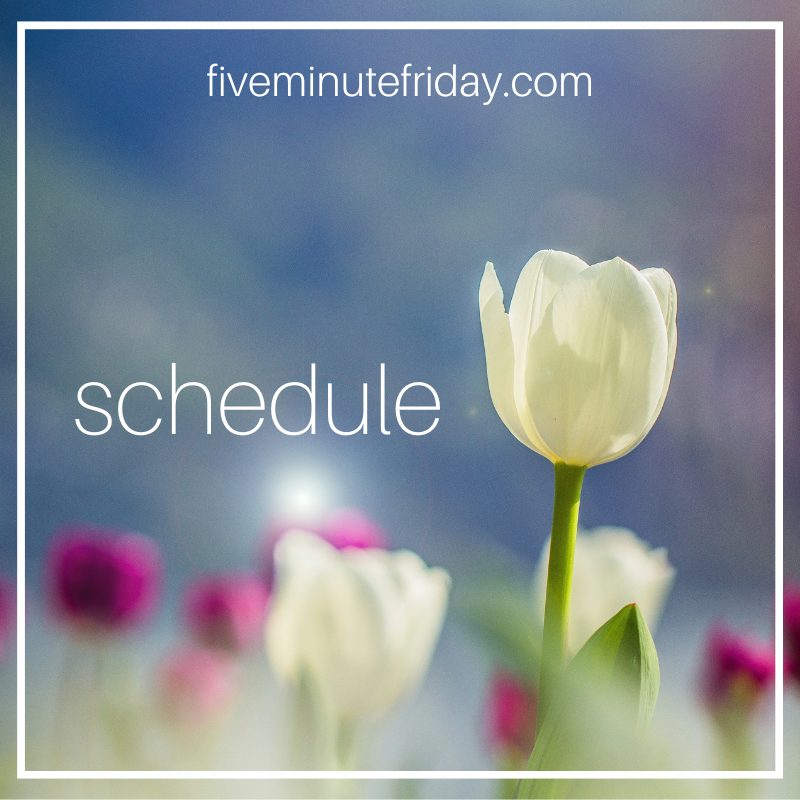 schedule