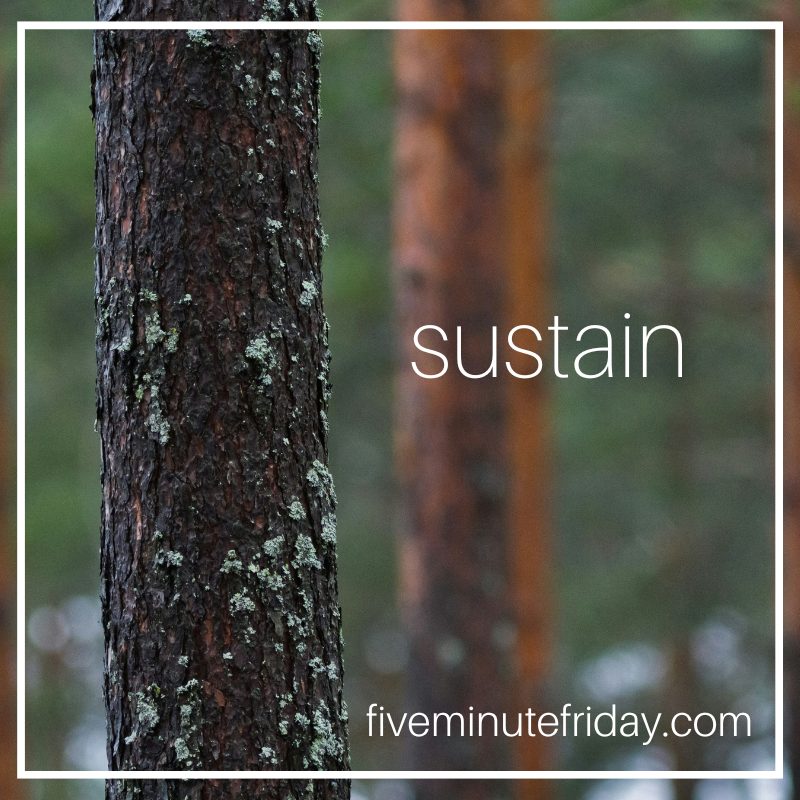 sustain